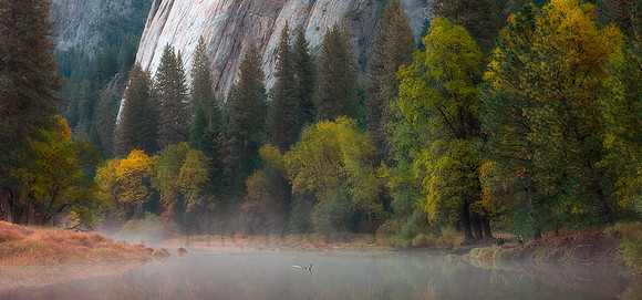 Fall Colors On The Merced