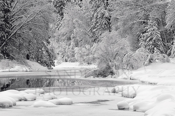 Merced River B&W