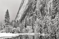 Cathedral In Winter