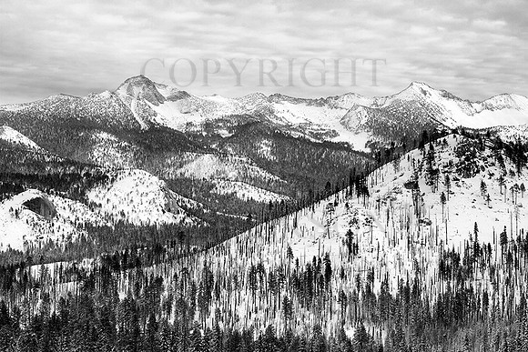 Clark Range Overlook