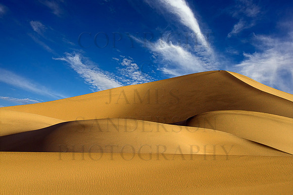 Sensuous Dunes