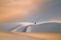 Desertscapes