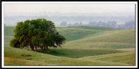 View of the Valley