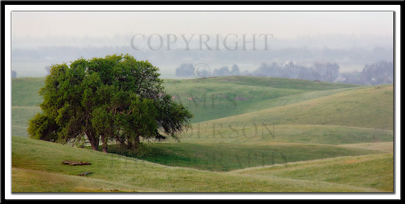 View of the Valley