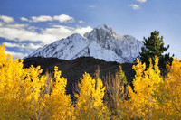 Fall Colors Near Convict Lake