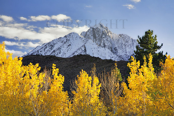 Fall Colors Near Convict Lake