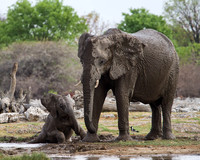 Baby-Taking-A-Bath