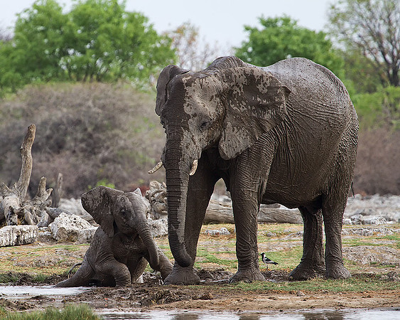 Baby-Taking-A-Bath