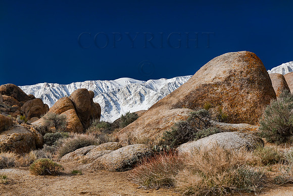 Alabama Hills Contrasts