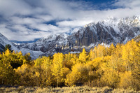 Convict Lake Aspen