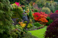 Butchard's Fall Colors