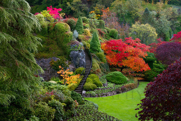 Butchard's Fall Colors
