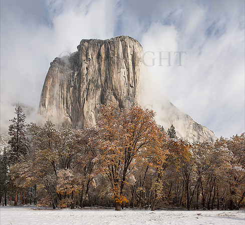 A View From El Capitan Meadow