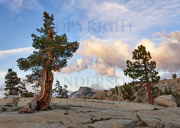 Late Afternoon at Olmsted Point