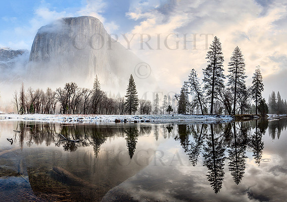 Misty Merced Morning