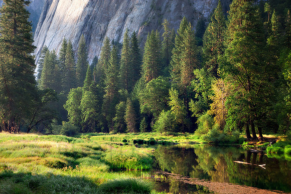 Along The Merced In Spring
